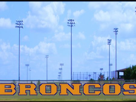 3.5  x 38  Broncos Letters Online