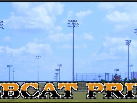 4  x 46  Bobcat Pride - 2 Tone with Outline Sale