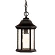 Antique Black Textured Glass Lantern Hanging Light Hot on Sale