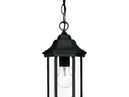 12  Narrow Matte Black Glass Lantern Hanging Light For Sale