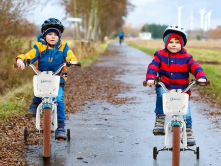 14 Inch Kid s Bike with Removable Training Wheels and Basket-Blue For Sale