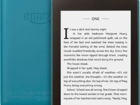 KINDLE PAPERWHITE 10 GENERATION WIFI Sale